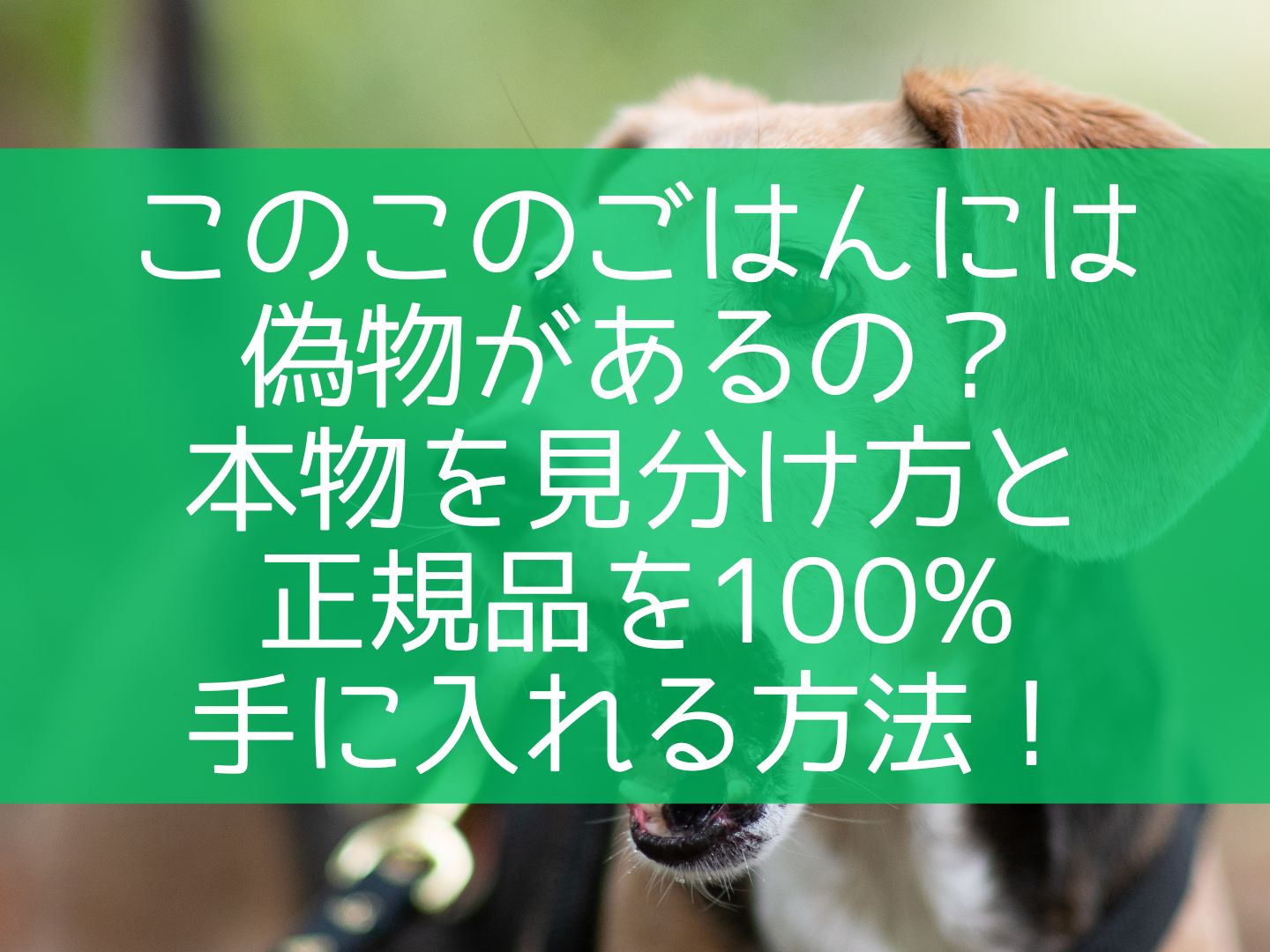 このこのごはんには偽物があるの？本物を見分け方と正規品を100%手に入れる方法！
