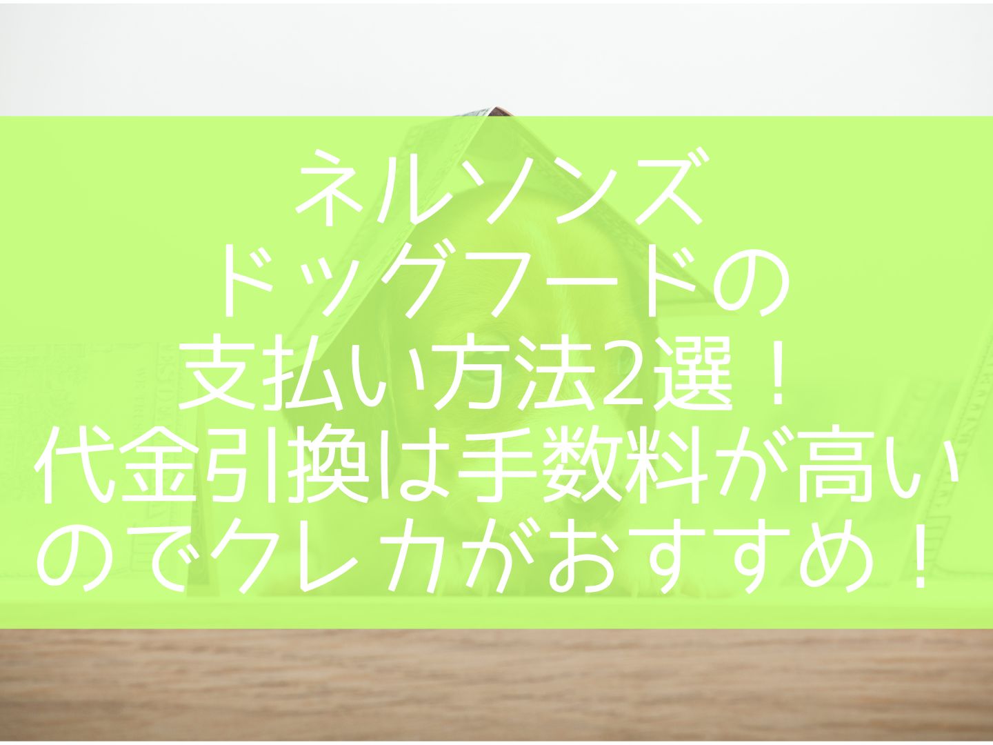 ネルソンズドッグフードの支払い方法2選！代金引換は手数料が高いのでクレカがおすすめ！