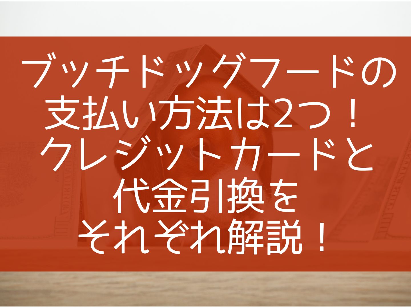 ブッチドッグフードの支払い方法は2つ！クレジットカードと代金引換をそれぞれ解説！