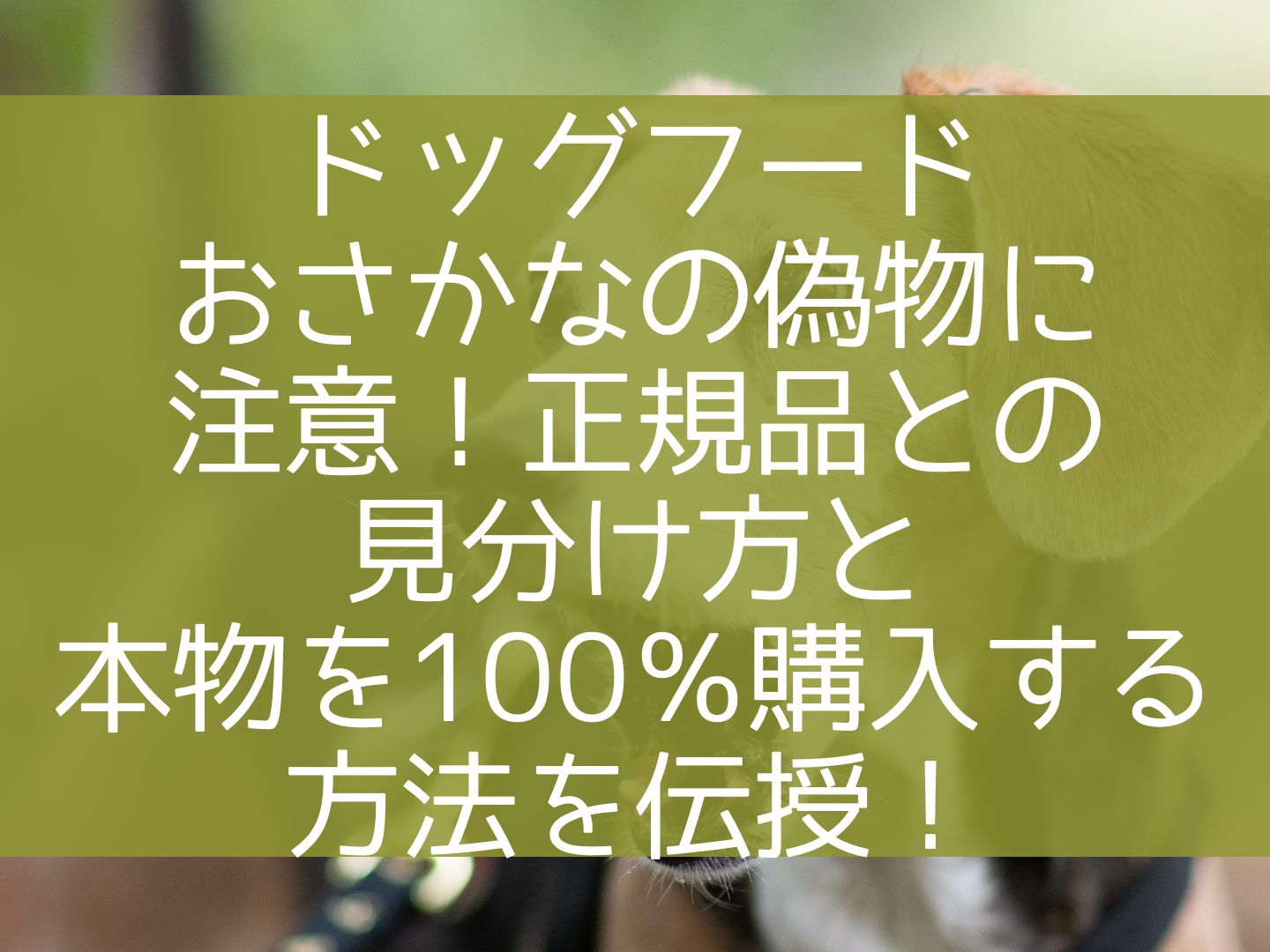 ドッグフードおさかなの偽物に注意！正規品との見分け方と本物を100％購入する方法を伝授！